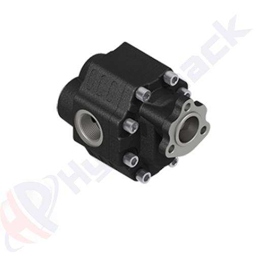 UNI-ERCAH-90-BD Group 35 Cast Iron Pump